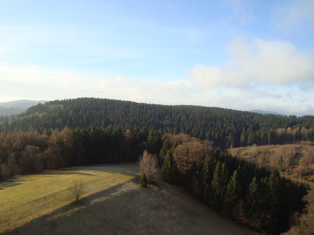 Panoramic Appartement Hohegeiß