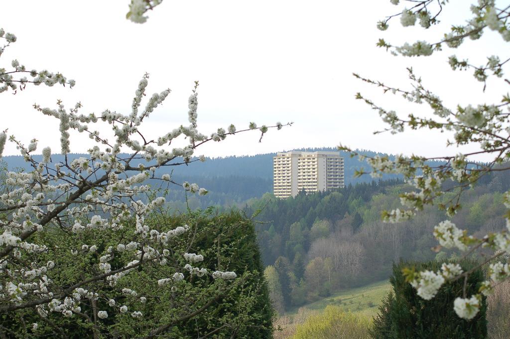 Panoramic *